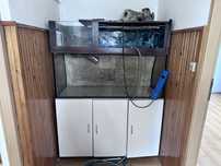 Akwarium terrarium dla żółwia szafką