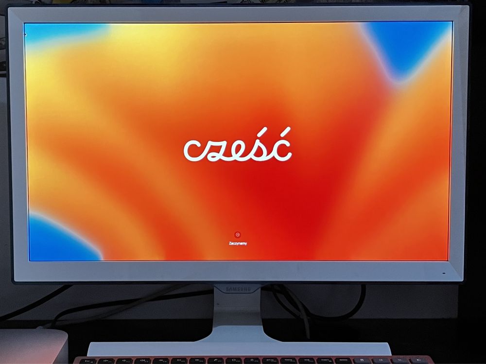 Monitor Samsung S22E391H 22” biały stan idealny