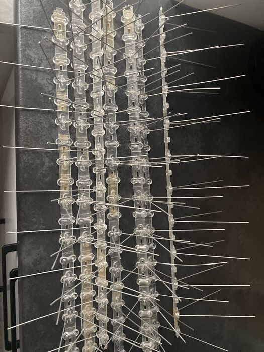 Niedzewne Kolce na ptaki gołębie