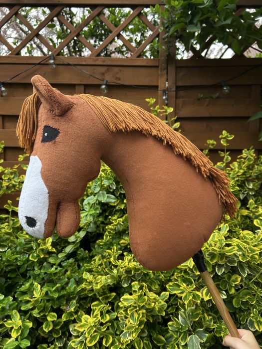 Konik hobby horse rudy