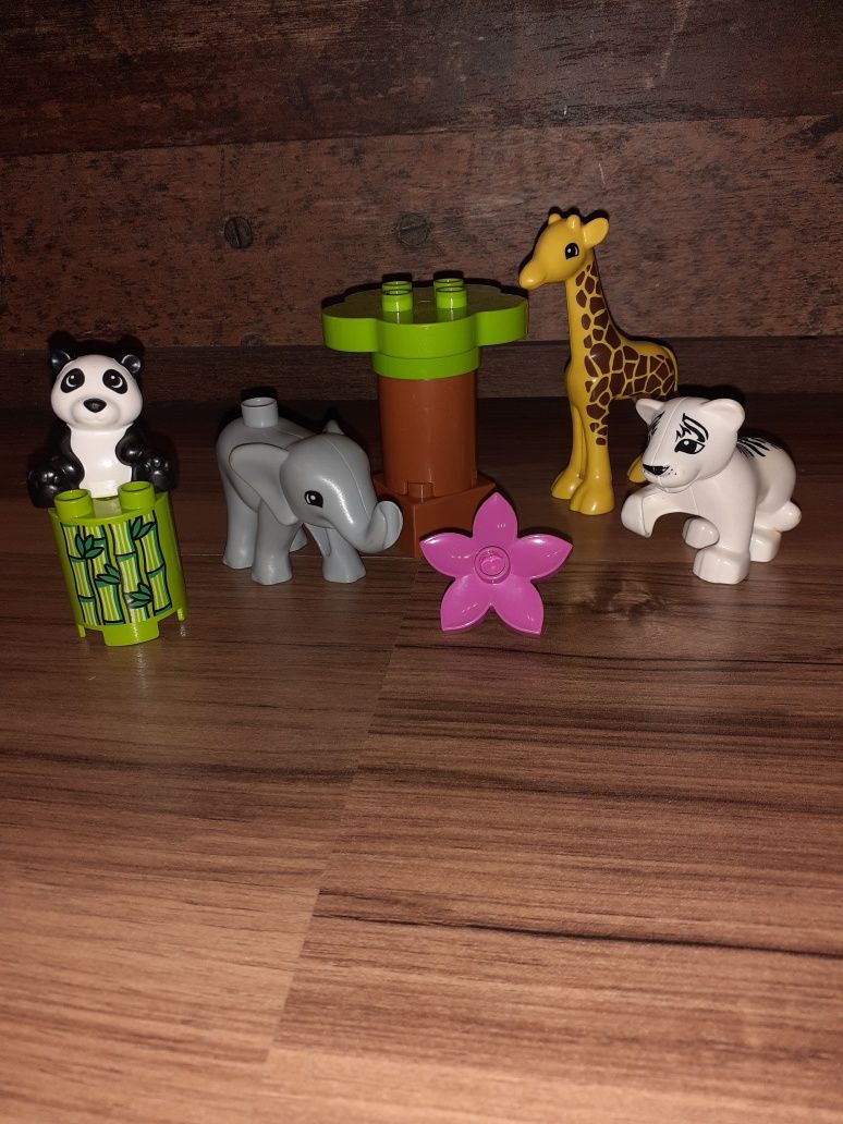 Lego duplo małe ZOO 10904