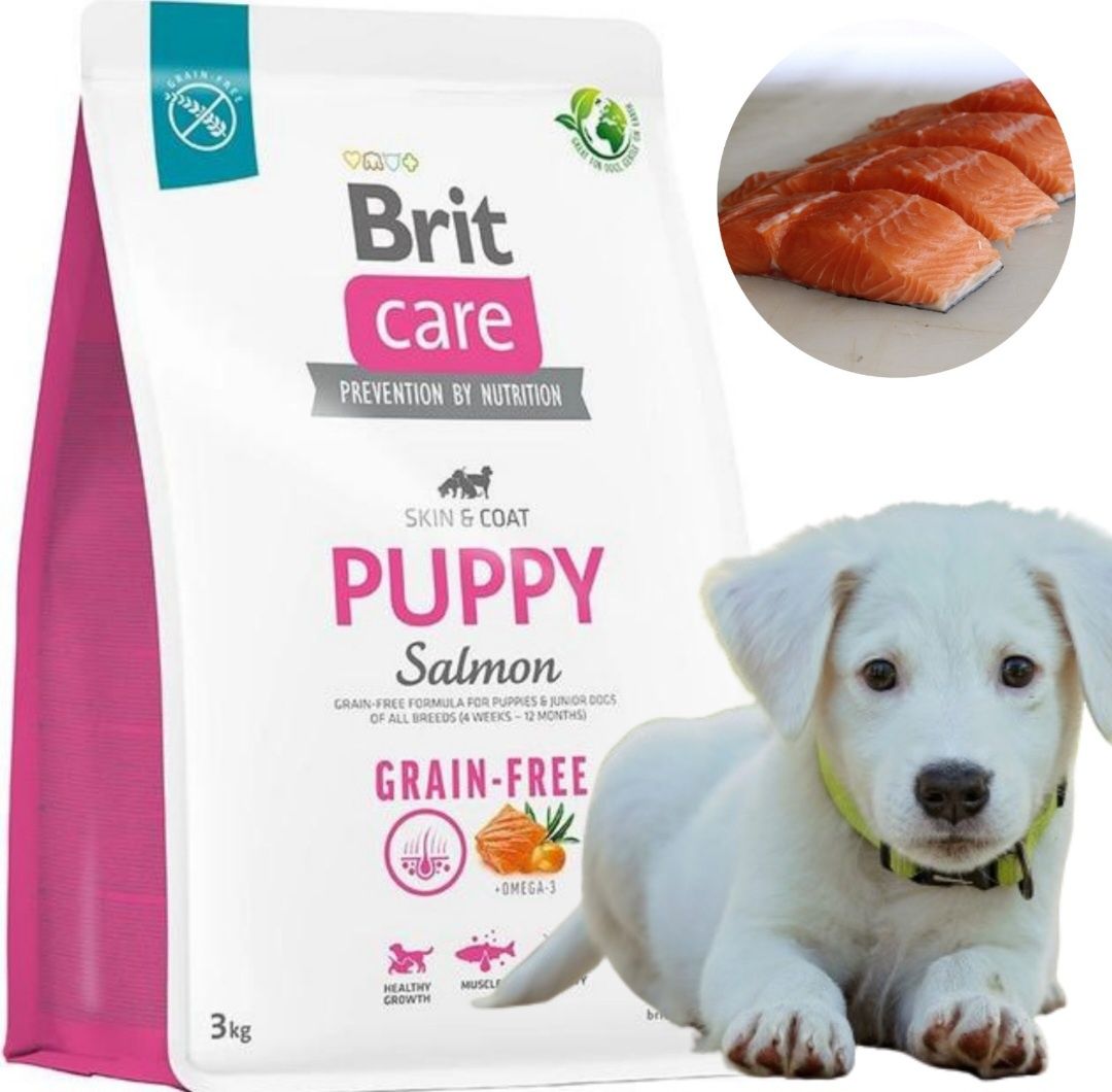 Brit Care Puppy 3kg + Gratis, Bez Zbóż Szczenięta Łosoś Salmon Pokarm