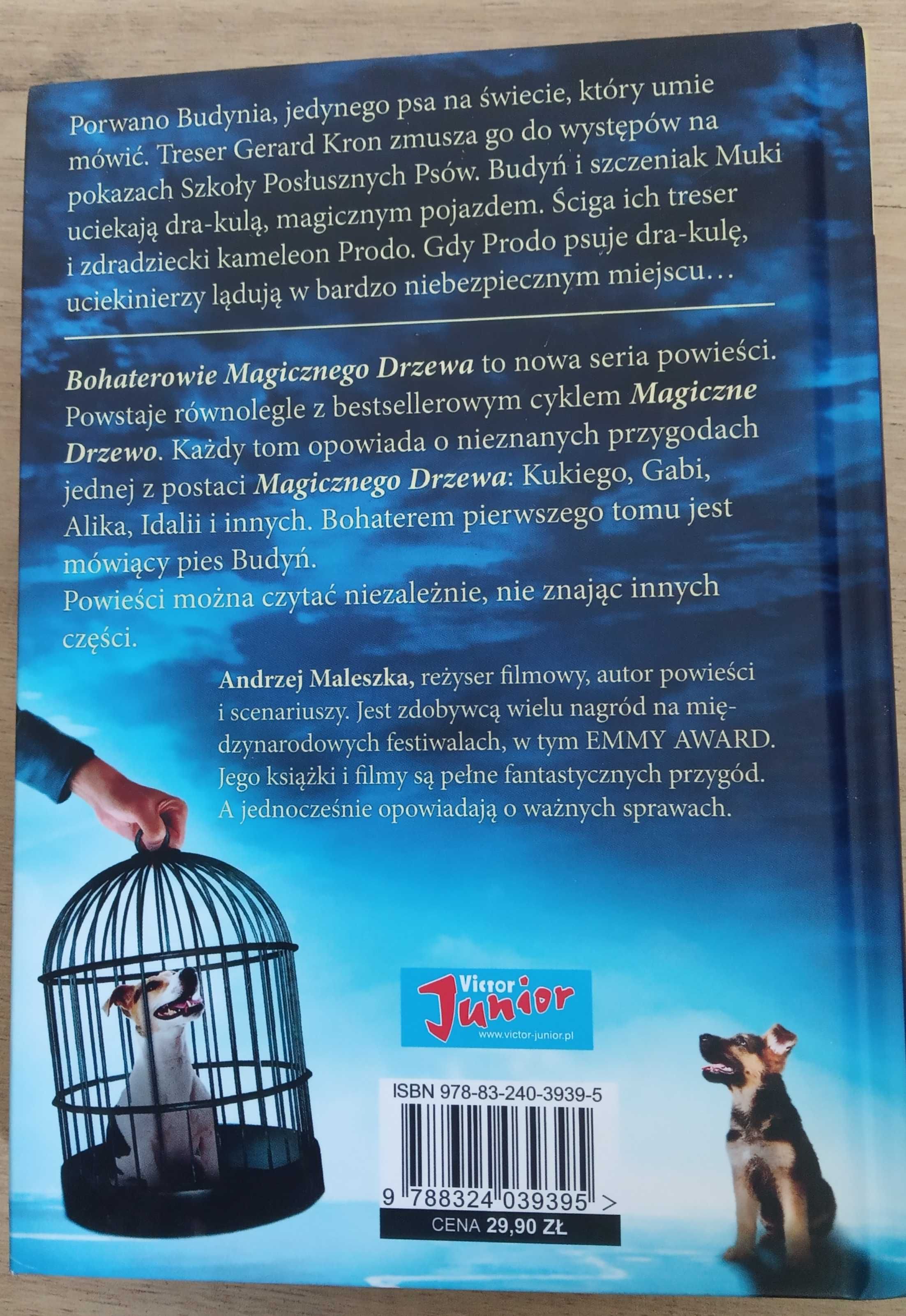 Książka - Bohaterowie magicznego drzewa "Porwanie"