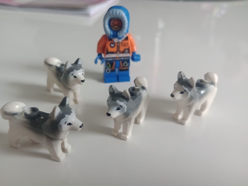 Klocki LEGO minifigurka Arctik Basen camp psy