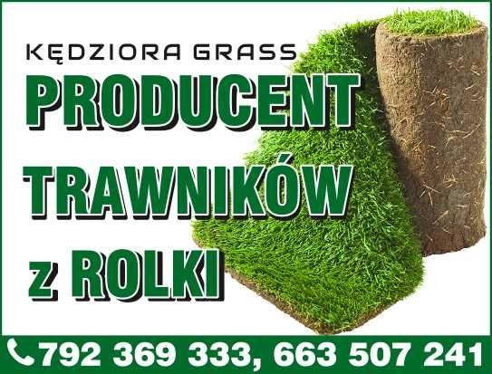 Trawa z rolki. Wysoka jakość . Producent