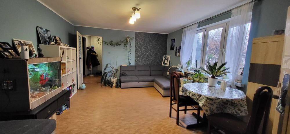 W centrum,bezczynszowe mieszkanie 2 pokojowe. Też firmy/pracownicy!