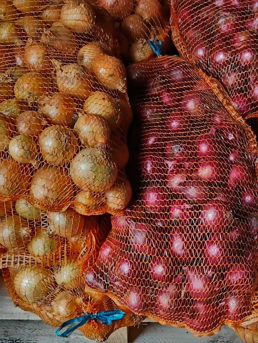 Sprzedam cebulę czerwoną i żółtą 60gr/kg
