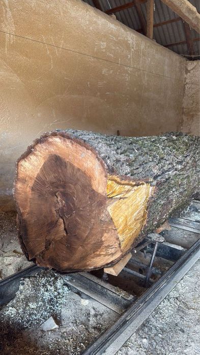 Горіховий кругляк