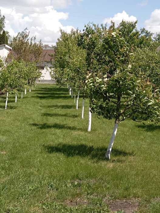 Продам будинок 3 гаражами,в 12 км.від м.Горохів!Або обмін!