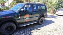 Nissan Terrano 2