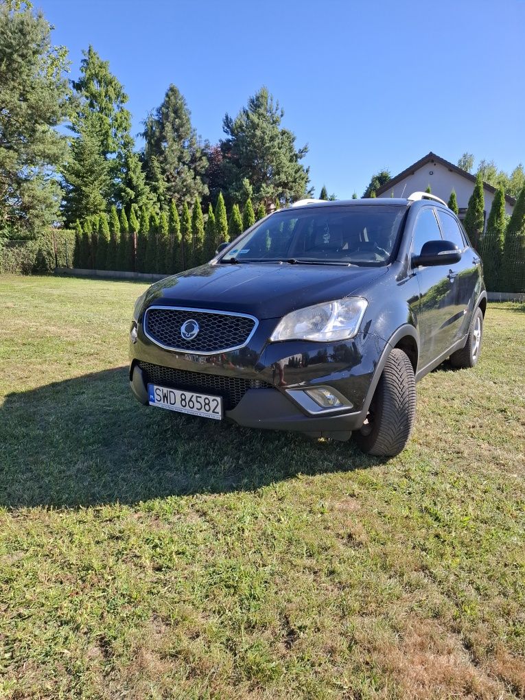 Ssangyong korando
