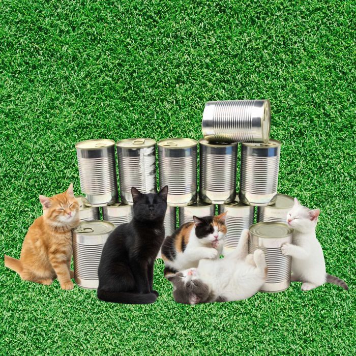 24 Szt X 400G Puszki Dla Kotów Promocja