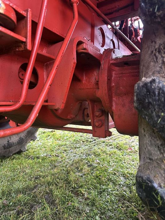 Продається карпатець