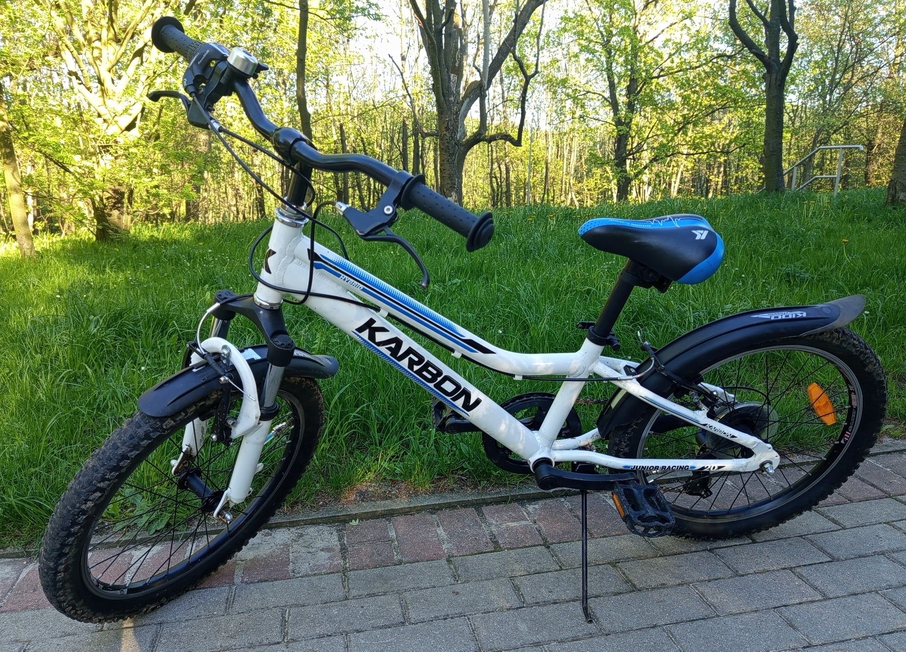 Rower  KARBON  20