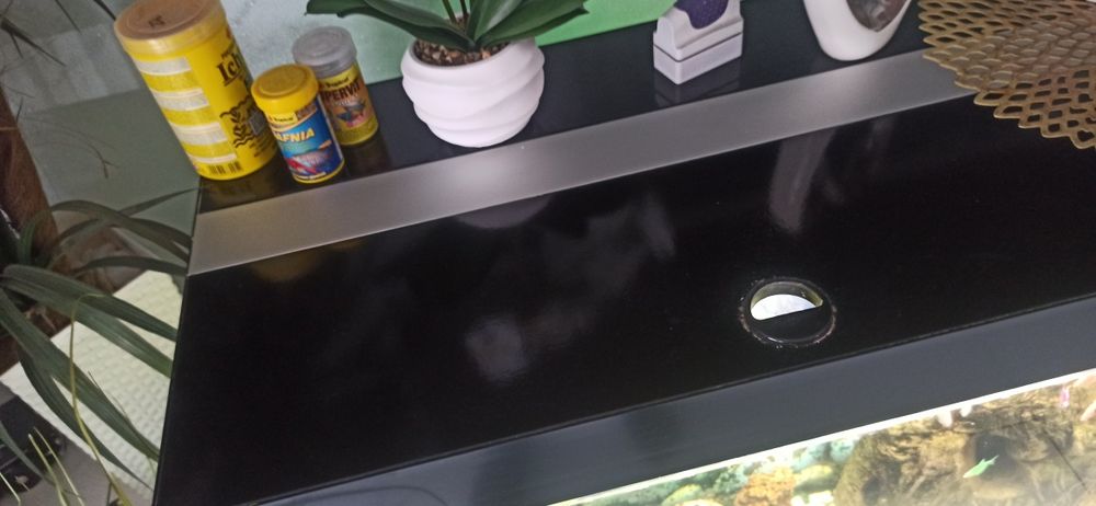 Akwarium 350 L ryby osprzęt cały zestaw