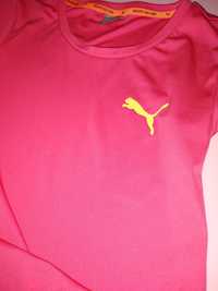 Kuszulka tshirt Puma 152