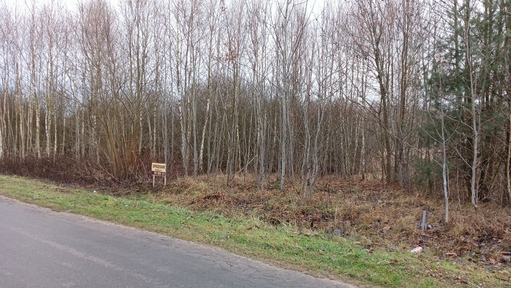 Sprzedam działkę 3800m2 Zastronie blisko Szydłowiec Radom Warszawa