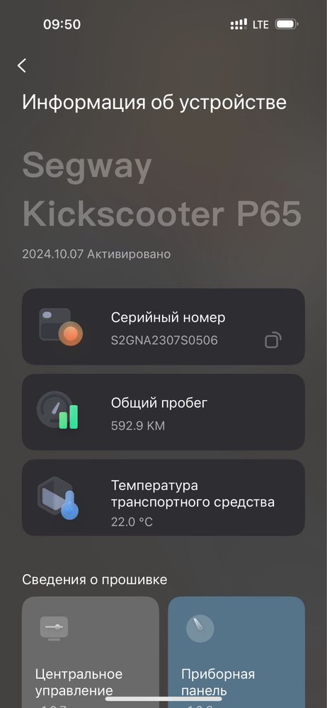 Segway Nninebot p65