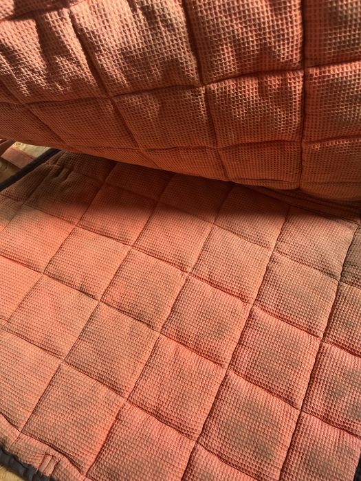 Czaprak eskadron next generation