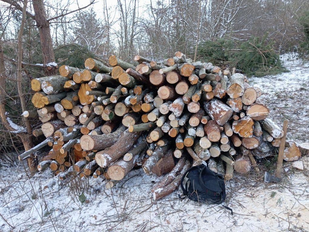 Продам дрова різної породи