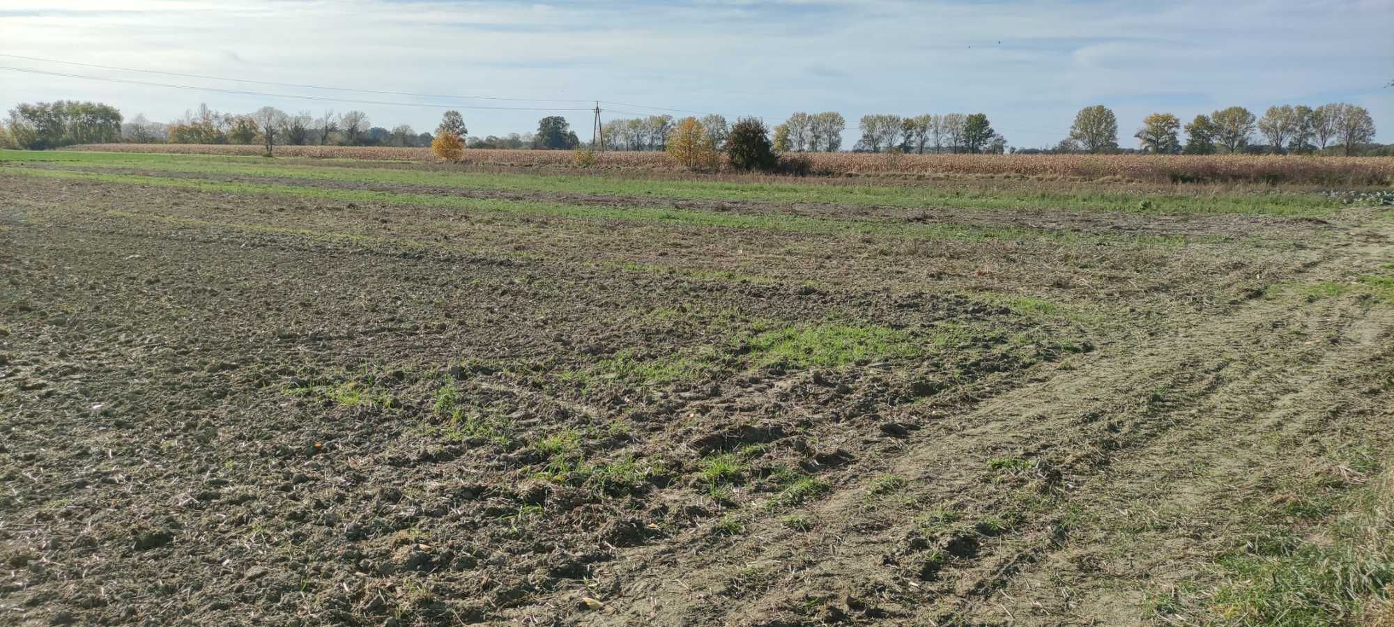 Sprzedam działkę