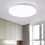LIVARNO home Lampa Plafon  sufitowa LED z białym ściemniaczem 50x11cm