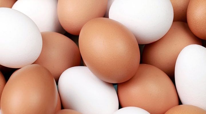 Домашні дієтичні курячі яйця