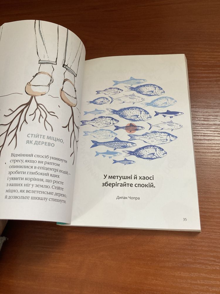 Книга, анотація «Як бути усвідомленим»