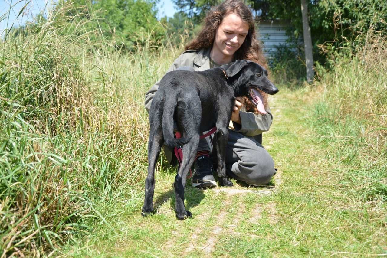 Pokochaj Magnacika - wulkan pozytywnej energii!