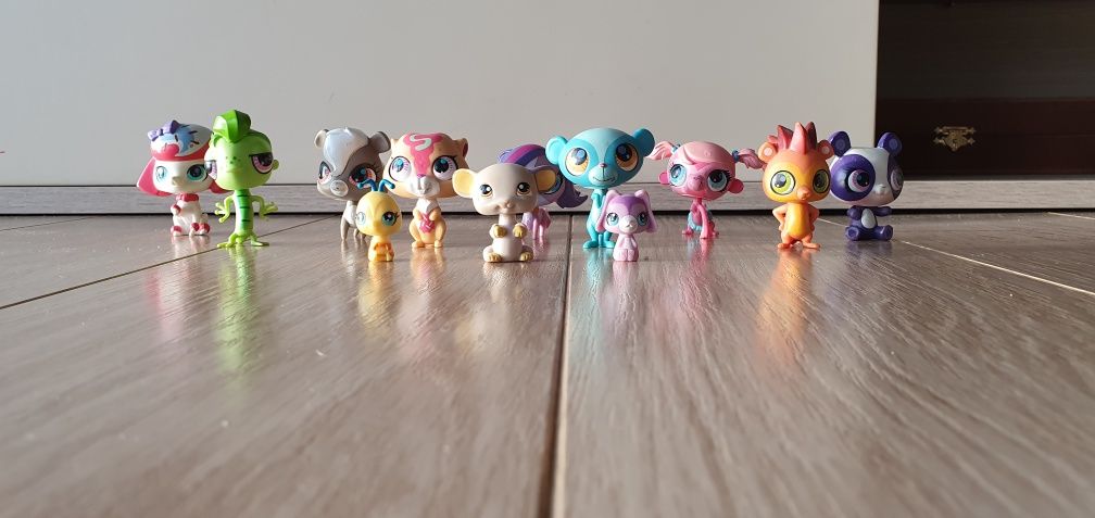 Littlest Pet Shop cały zestaw za 60 zika!