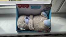 Wydra Fisher Price