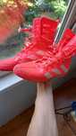 Боксерки Adidas box hog 4