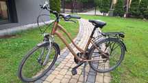 Rower trekkingowy Sektor Elite 26