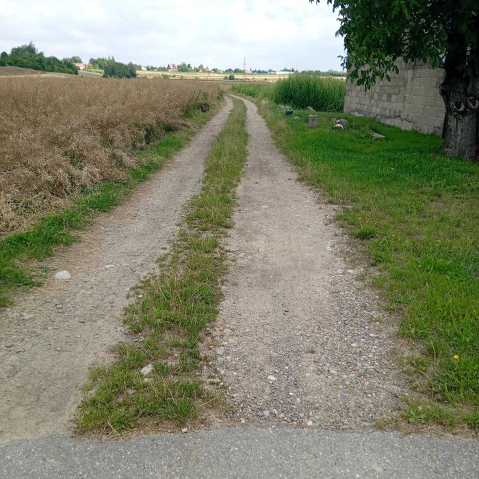 Działka Budowlana Pierzchów