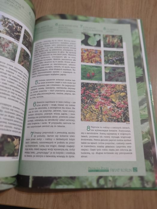 Przyroda Polska pytania i odpowiedzi