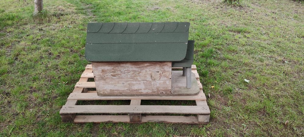 Buda dla średniego psa