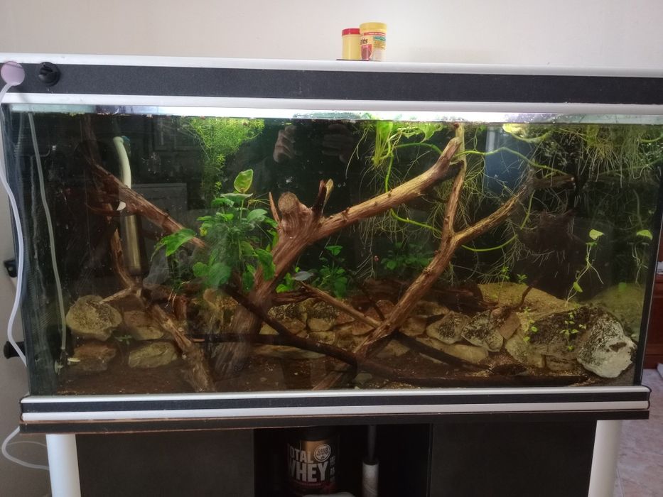Aquário + movel completo