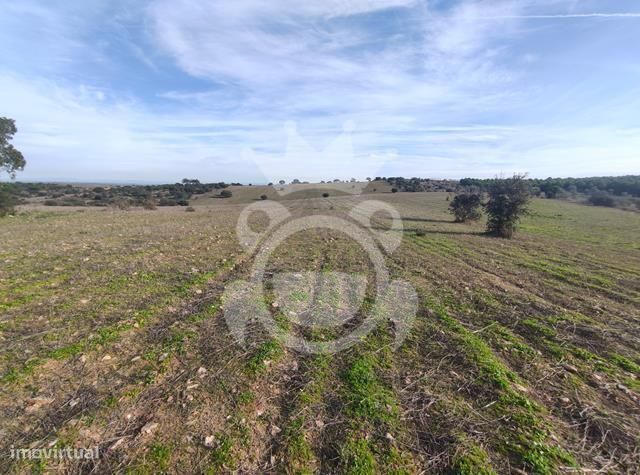 Terreno rústico viabilidade construção (10.5 Ha)