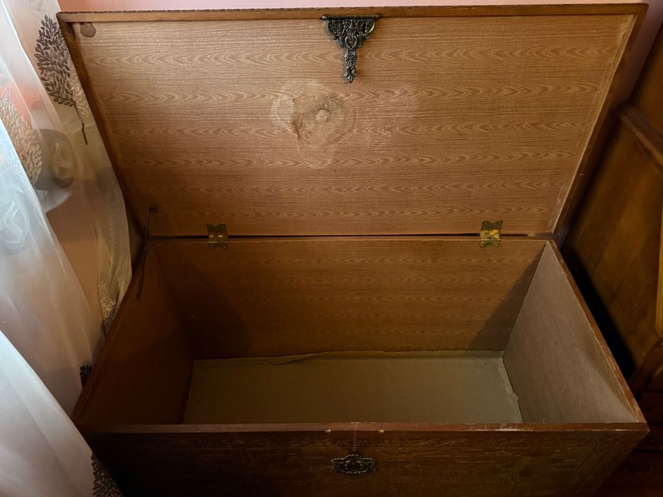 Mala bonita intemporal