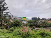 Apartamento T3 - Santo António - Funchal