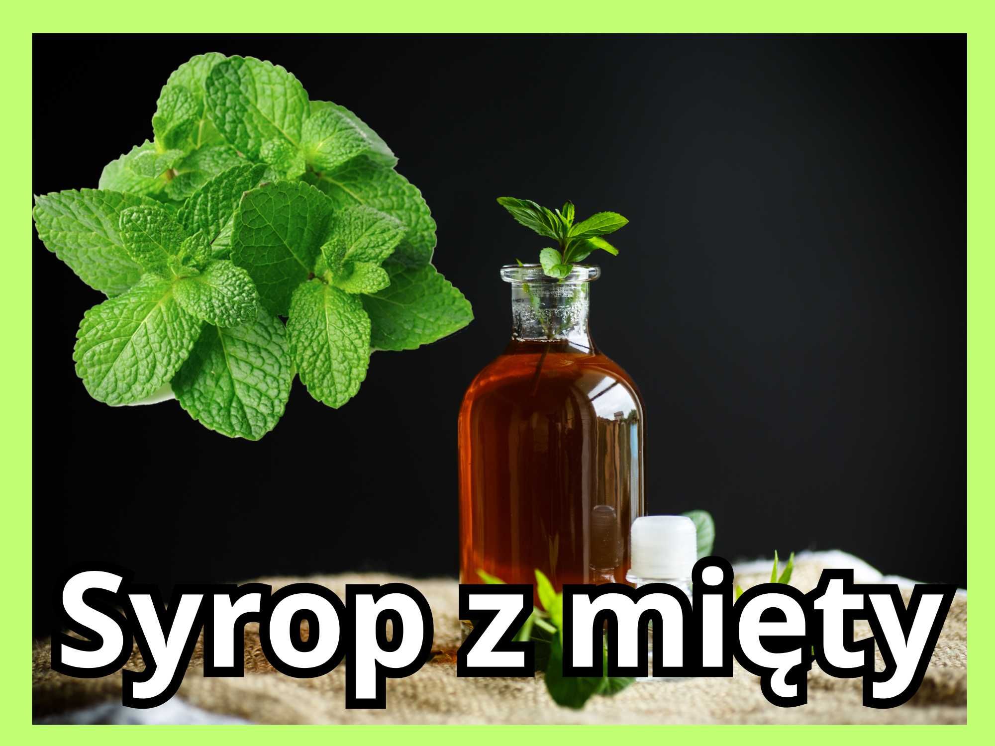 Syrop Sok z Mięty 600 ml