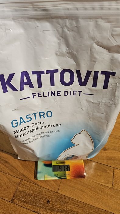 Zestaw dla kota z problemami z trzustką