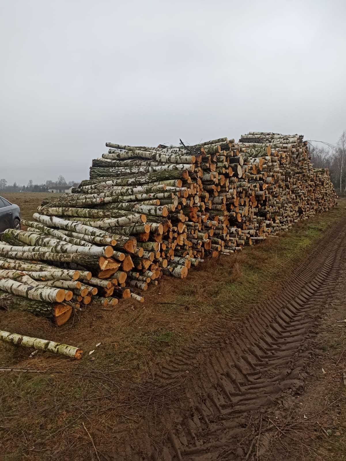 Drewno opałowe kominkowe BRZOZA DĄB SOSNA pocięte połupane układane