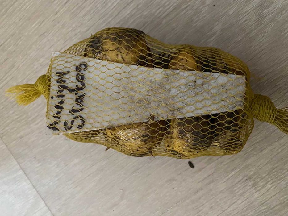 Аллиум Statos, аллиум сортовой