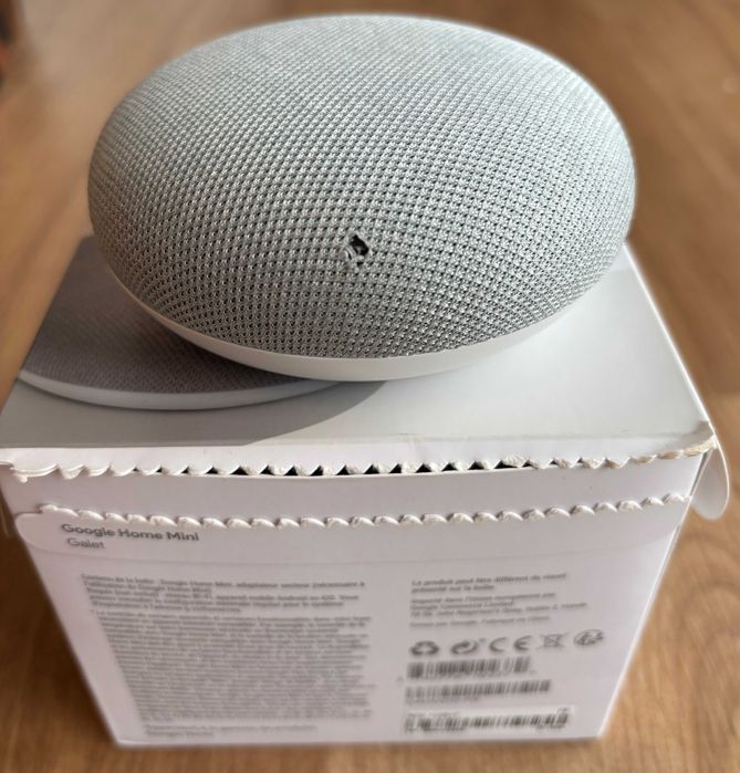 Google Nest Mini (1ª Geração)