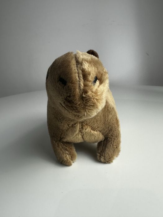 Nowa uśmiechnieta kapibara