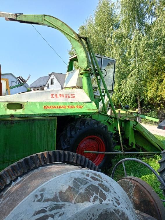 Sieczkarnia samojezdna do kukurydzy , dwurzędowa marki Claas