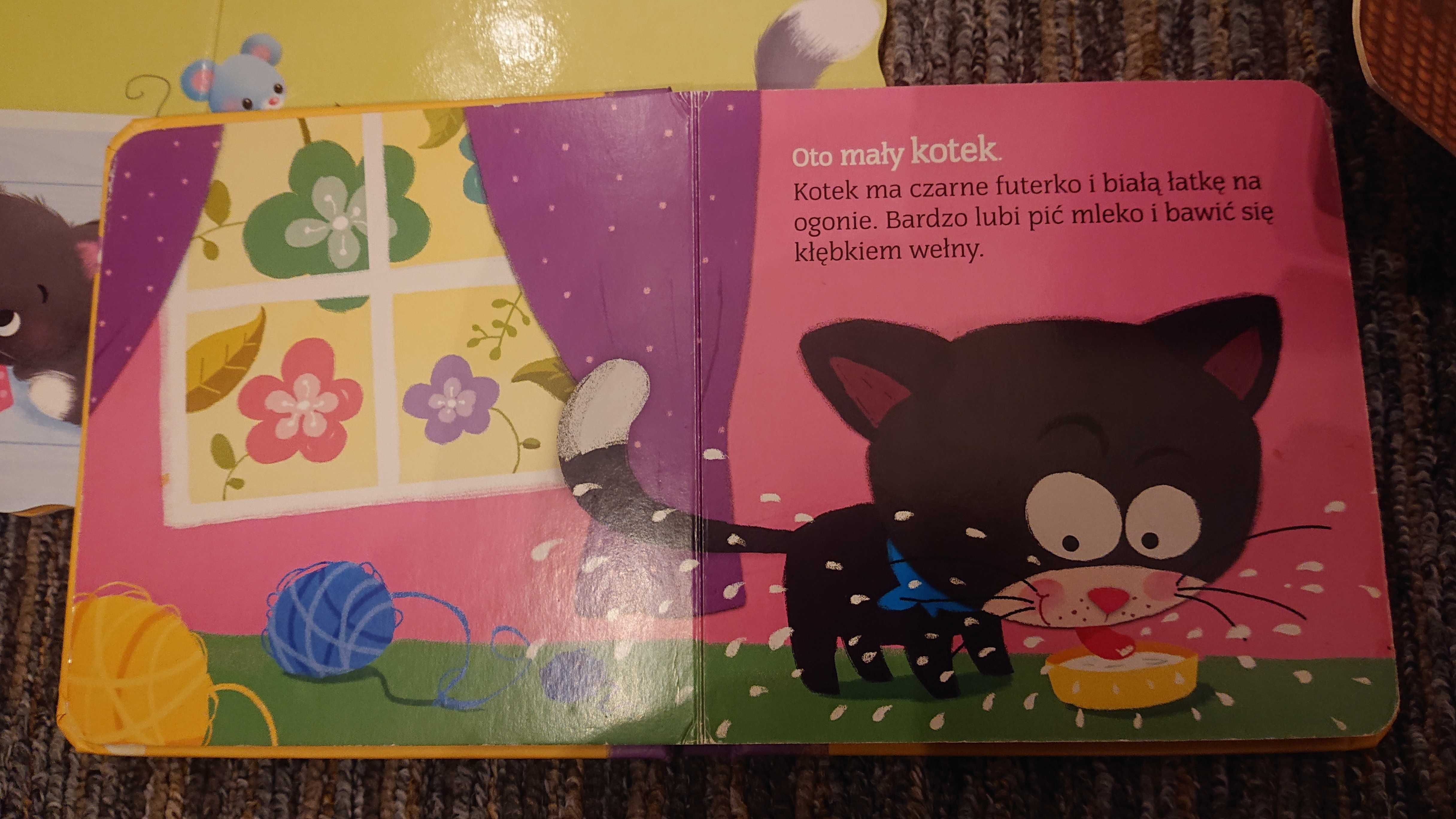 3 x książeczka o kotach / chory kotek