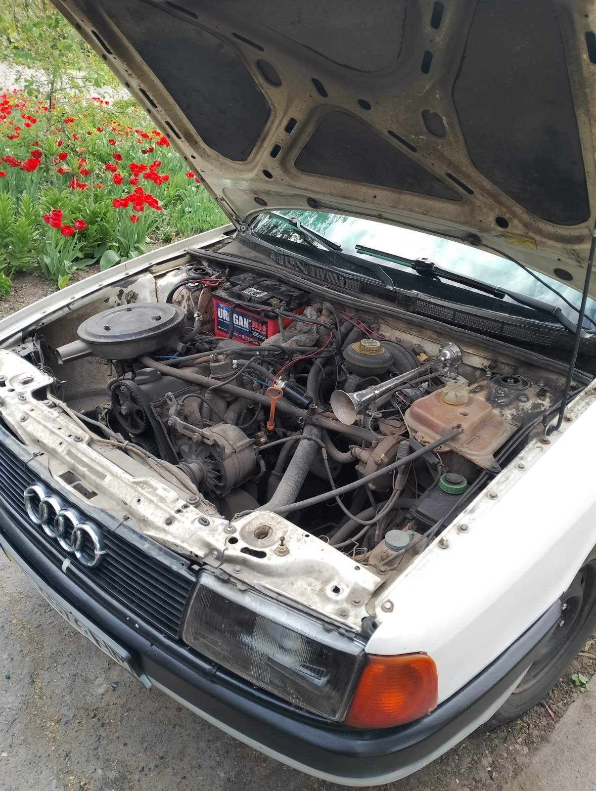 Audi 80 б3 місто апостолво