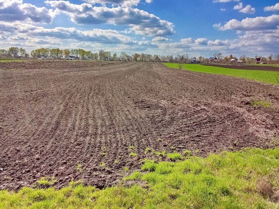 Продажа будинку с.Нова Маківка , Білоцерківський рн. Київська обл.